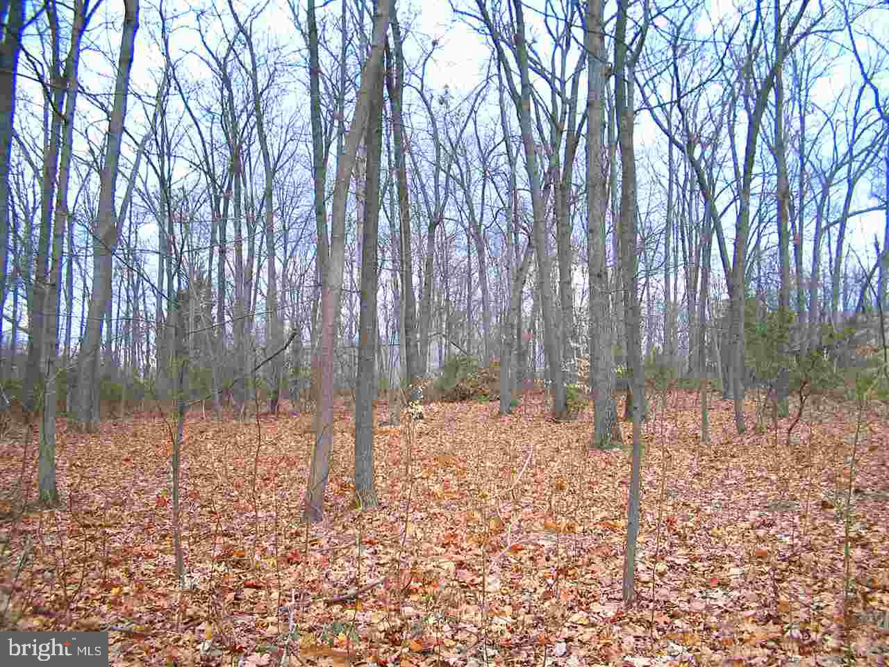 0 Spring Rd Spring Grove Pa Spring Grove, PA 17362 - Photo 4 of 5