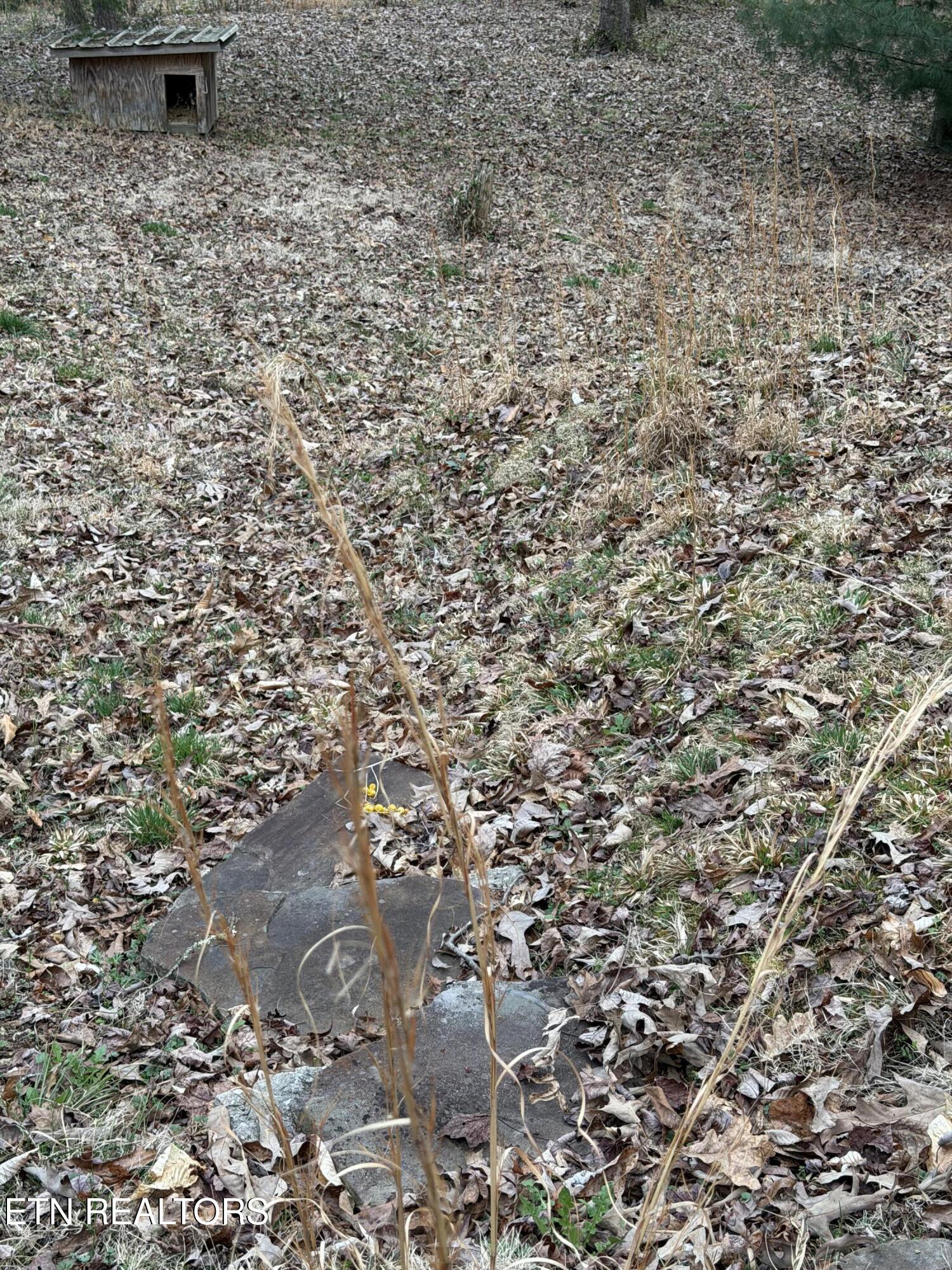 364 Shady Grove Road Lancing, TN 37770 - Photo 29 of 31 IMG_2848