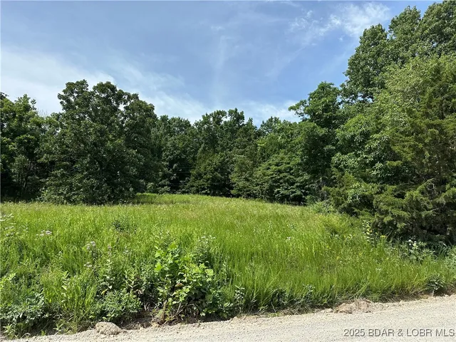 $50,000 | Lot 3 Lick Creek Road, Edwards, MO 65326