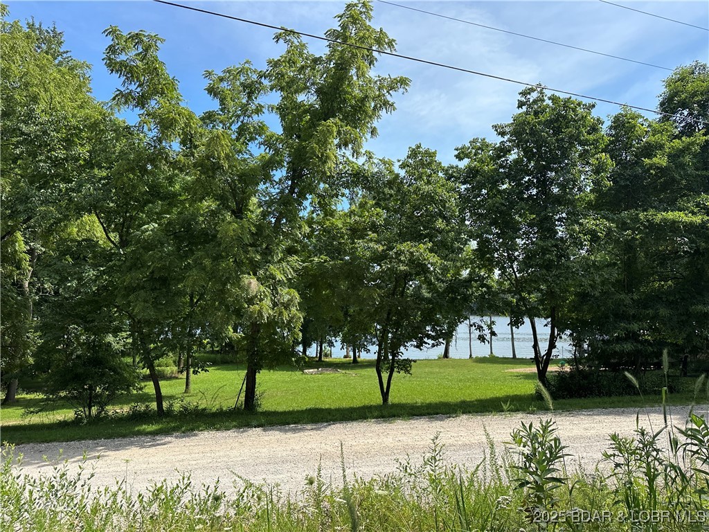 Lot 3 Lick Creek Road Edwards, MO 65326 - Photo 2 of 3 View from the Lot