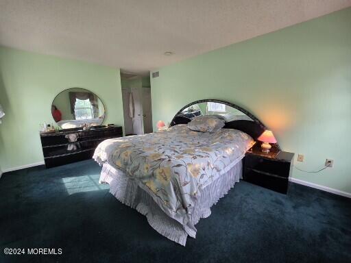 265 Lake Road Brick, NJ 08724 - Photo 11 of 22 primary bed