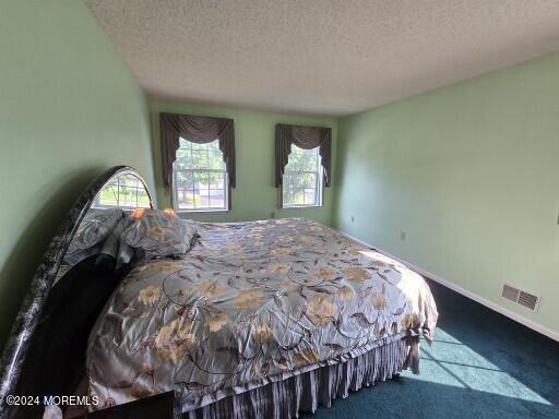 265 Lake Road Brick, NJ 08724 - Photo 12 of 22 primary bed side view