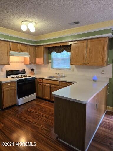 265 Lake Road Brick, NJ 08724 - Photo 8 of 22 kitchen