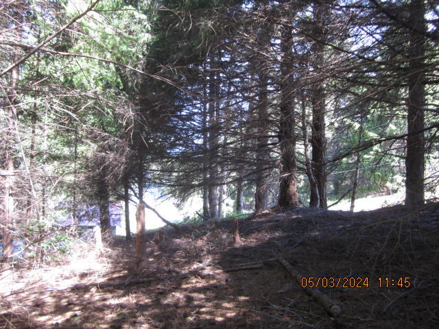232 Nob Hill Road Shelter Cove, CA 95589 - Photo 17 of 20
