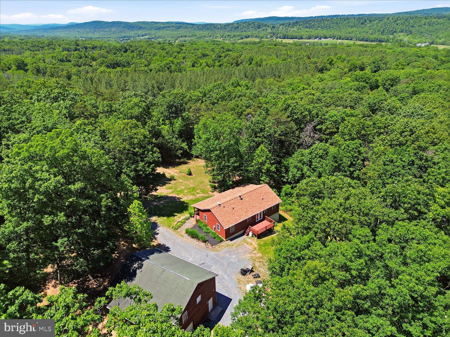 323 South Timber Ridge Road Cross Junction, VA 22625 - Photo 97 of 109 Serene retreat amid lush greenery.