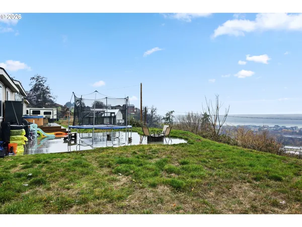 a view of a park with large trees