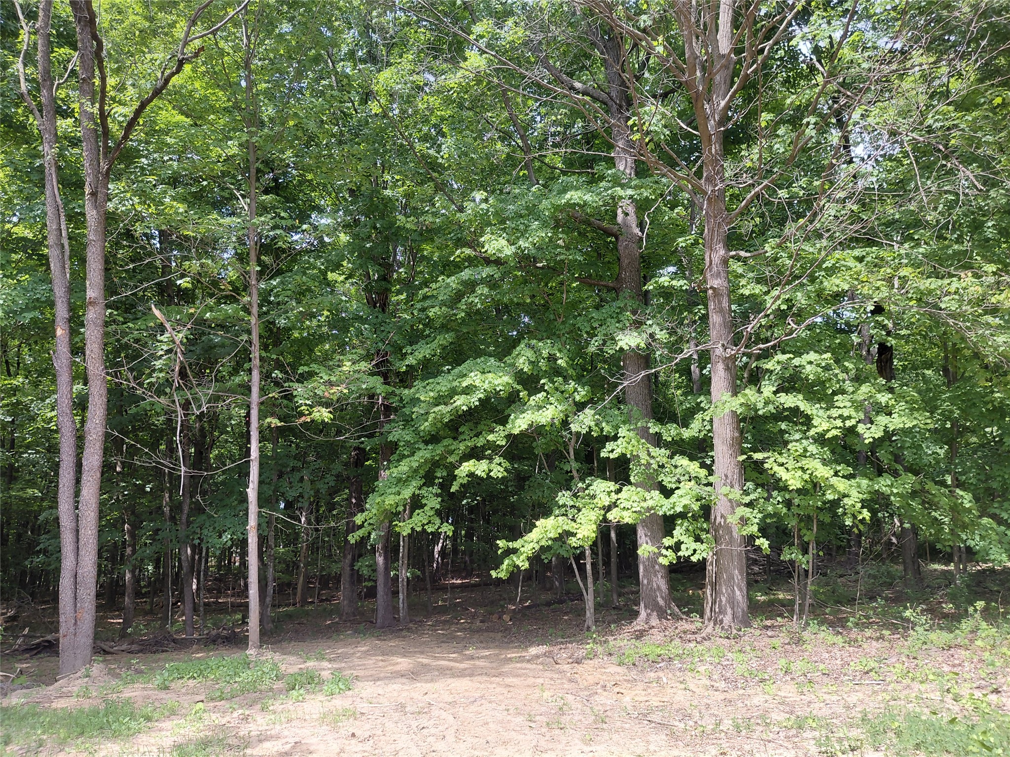 E5329 1370th Avenue Ridgeland, WI 54763 - Photo 10 of 14