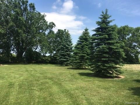 166 Rule Road Imlay City, MI 48444 - Photo 35 of 37 A0182AAC-.jpg