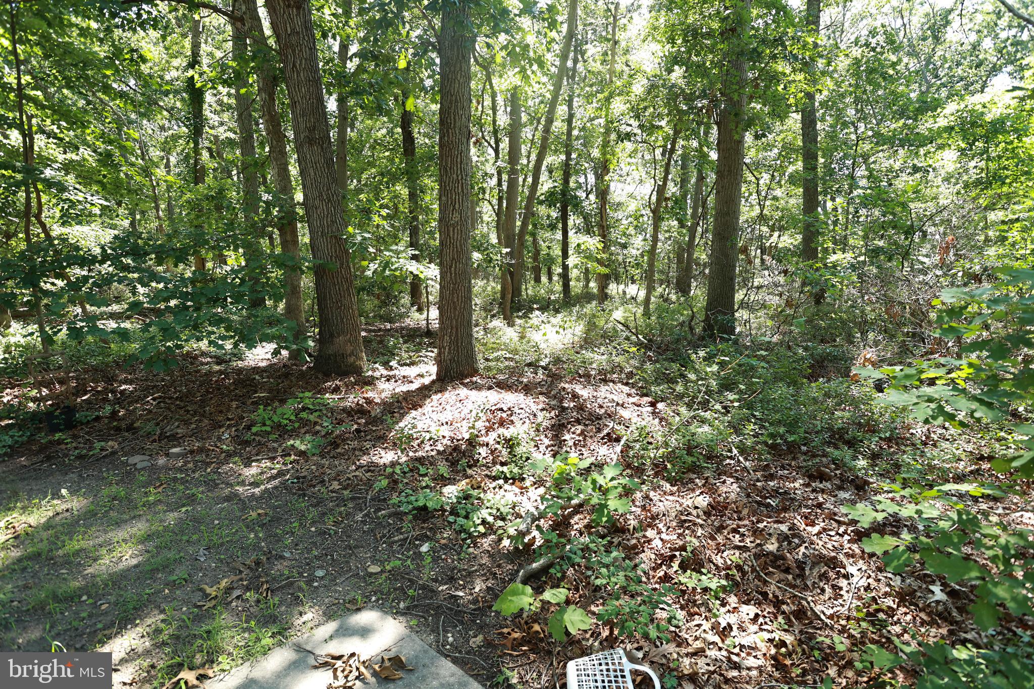 453 Langley Road Pittsgrove, NJ 08318 - Photo 49 of 140