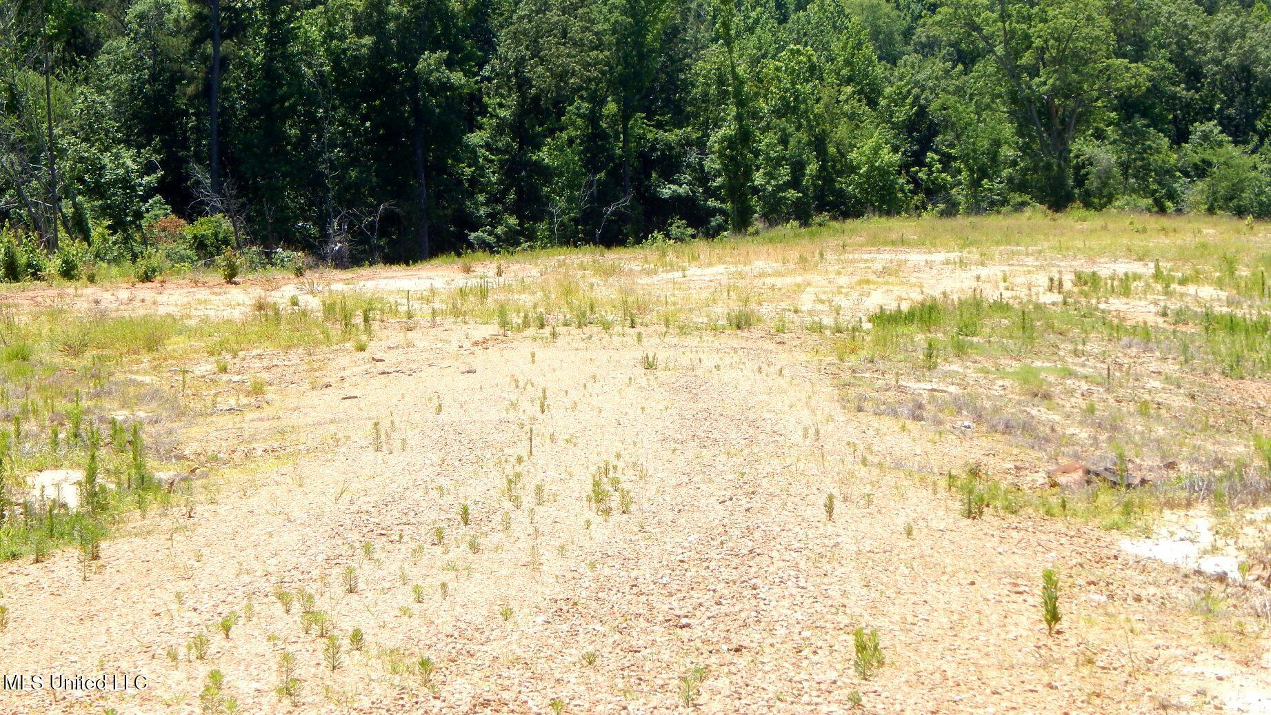 806 Hugh White State Pk Road Grenada, MS 38901 - Photo 2 of 11 DSCN6891