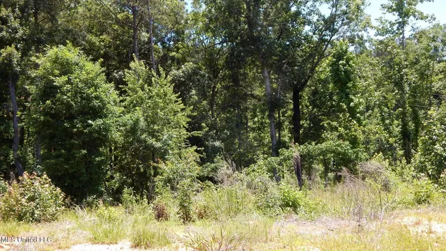 $105,000 | 806 Hugh White State Pk Road, Grenada, MS 38901