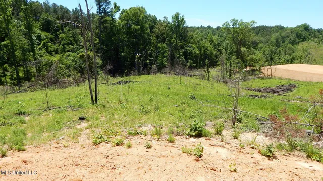 $105,000 | 806 Hugh White State Pk Road, Grenada, MS 38901