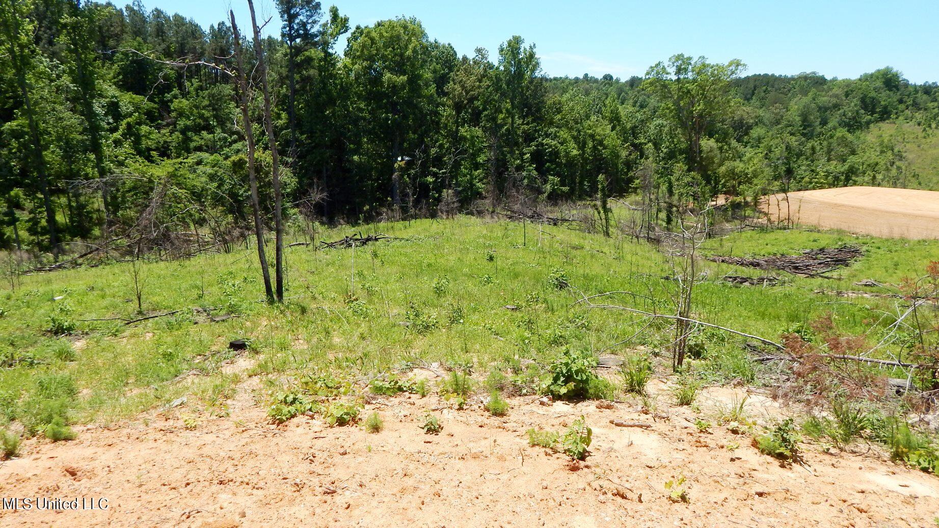806 Hugh White State Pk Road Grenada, MS 38901 - Photo 5 of 11 DSCN5132