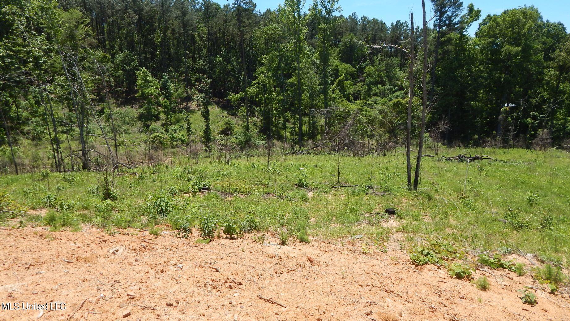 806 Hugh White State Pk Road Grenada, MS 38901 - Photo 6 of 11 DSCN5133