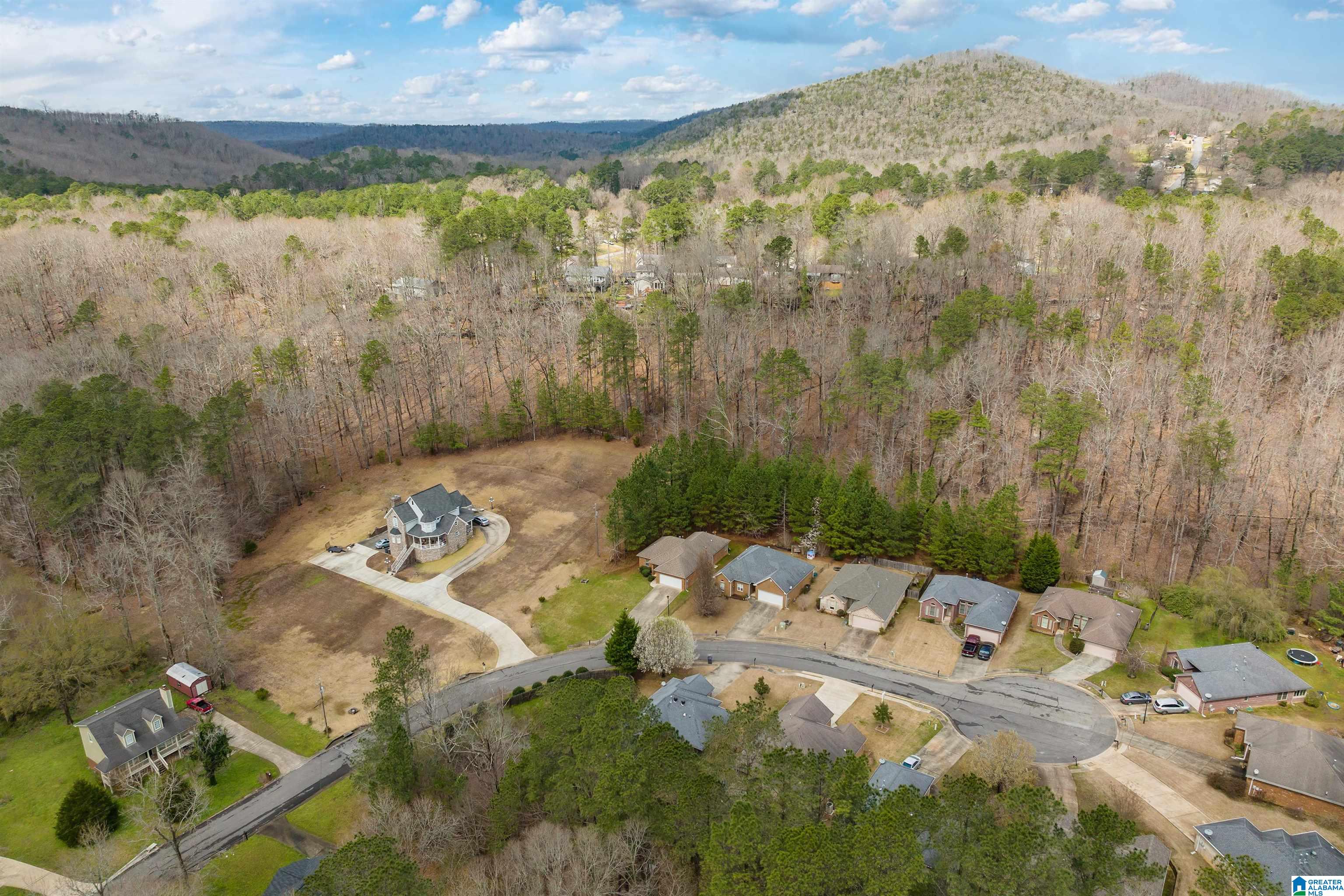 6734 Heaton Manor Pinson, AL 35126 - Photo 25 of 29