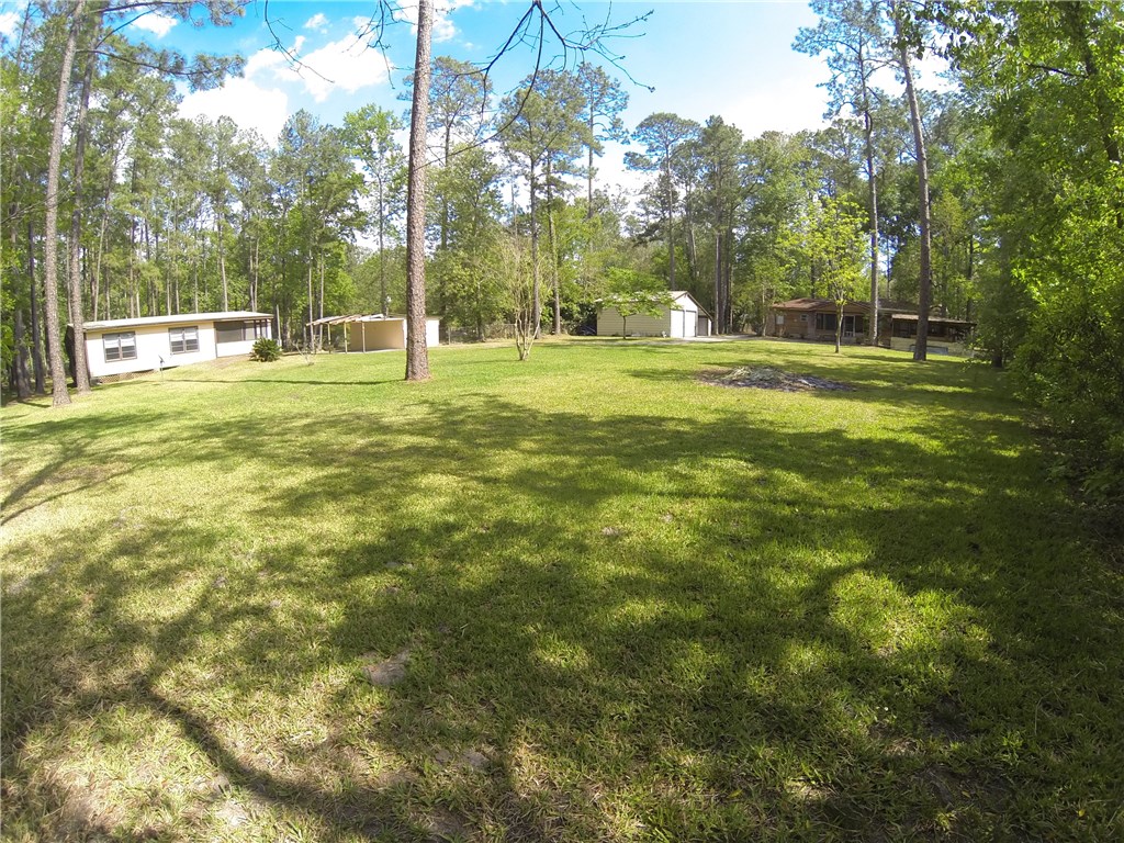 54899 Church Road Callahan, FL 32011 - Photo 28 of 35 a view of a park with large trees