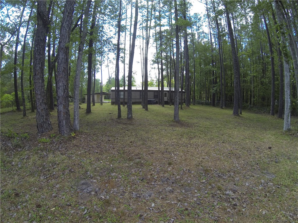 54899 Church Road Callahan, FL 32011 - Photo 31 of 35 a view of outdoor space with trees