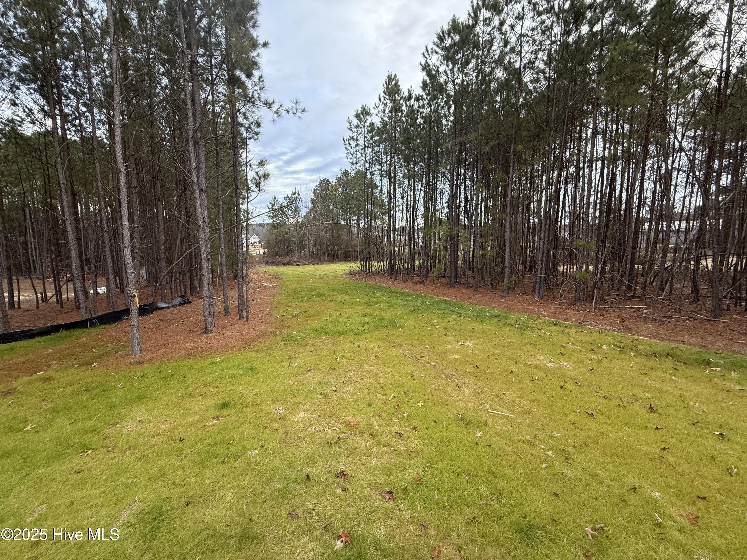 2185 Niagara Carthage Road Carthage, NC 28327 - Photo 4 of 21 IMG_6737