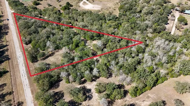 a picture of flowers