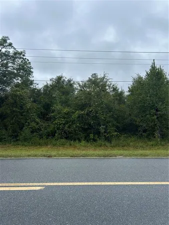 $30,000 | Tbd Northeast 80th Avenue, Bronson, FL 32621