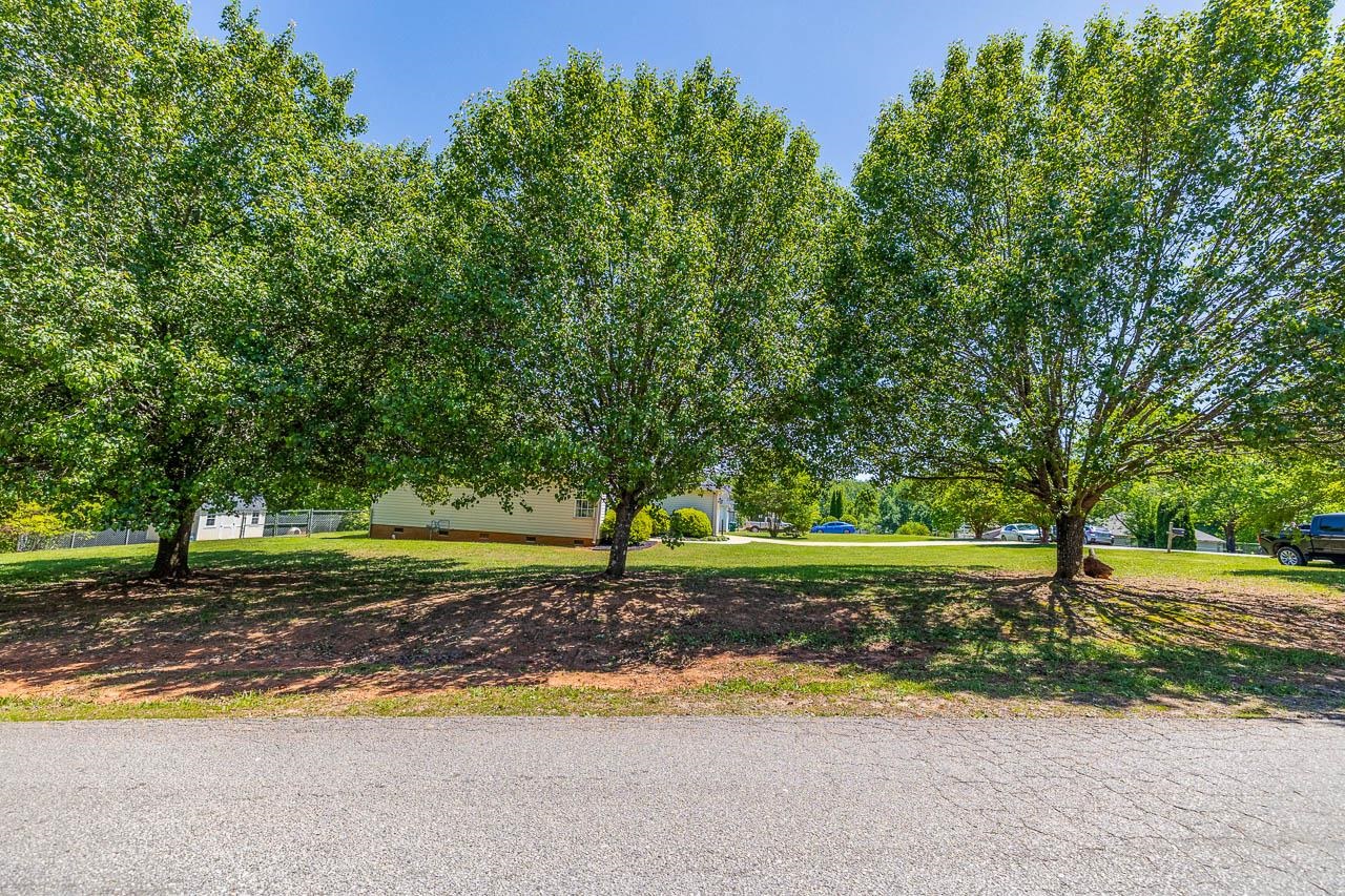 103 Deer Track Gaffney, SC 29341 - Photo 5 of 32