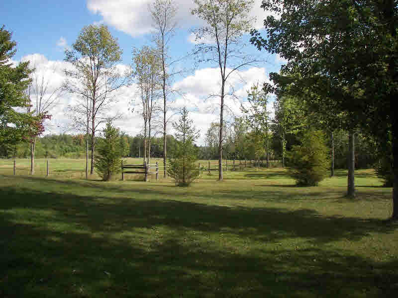 2523 Mt Forest Road Rhodes, MI 48652 - Photo 12 of 26