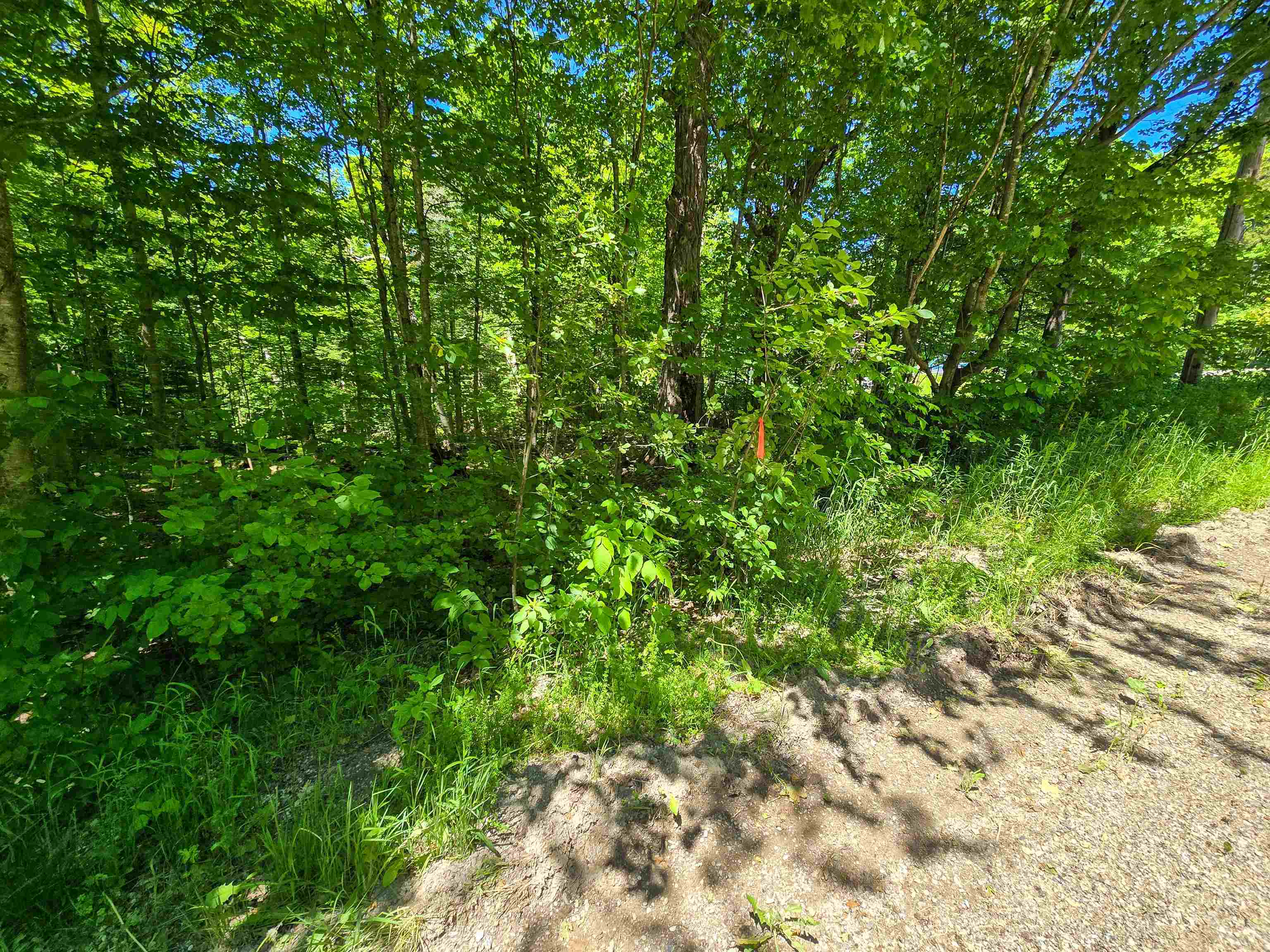 625 French Settlement Road Lincoln, VT 05443 - Photo 12 of 25