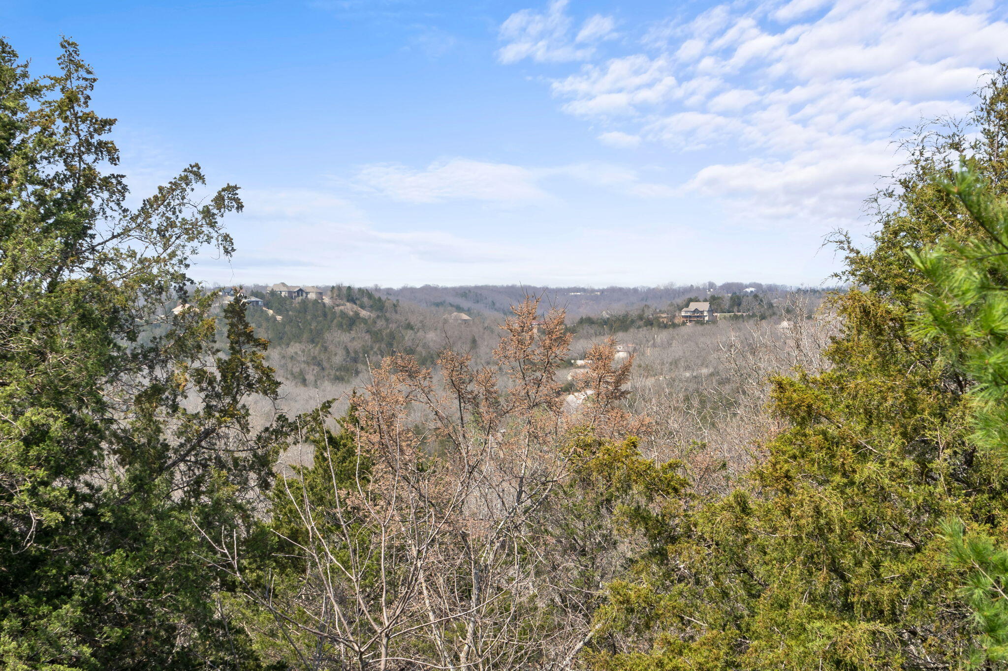 512 Silverwood Place Reeds Spring, MO 65737 - Photo 32 of 84 Glorious Views!
