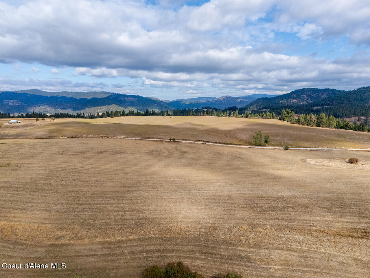 East Van Dusen Road Harrison, ID 83833 - Photo 6 of 9 20251004Lemieux_Hay-5