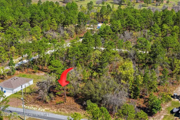 $48,500 | Lot 25 Thrasher Avenue, Weeki Wachee, FL 34614