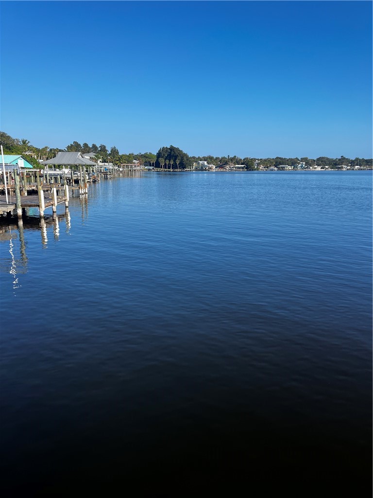 9680 Riverview Drive Micco, FL 32976 - Photo 8 of 19