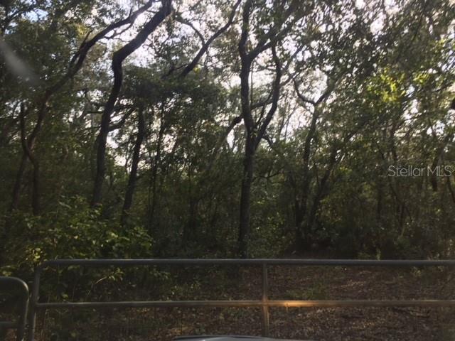 0 Tworut Road Webster, FL 33597 - Photo 1 of 1