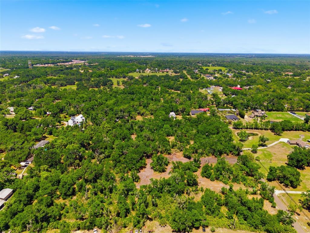 19084 Red Bird Lane, Unit LOT 5 Lithia, FL 33547 - Photo 15 of 21 a view of an outdoor space and mountain view in back