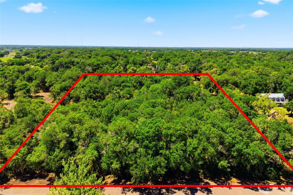 19084 Red Bird Lane, Unit LOT 5 Lithia, FL 33547 - Photo 5 of 21 a view of a bunch of flowers in a center