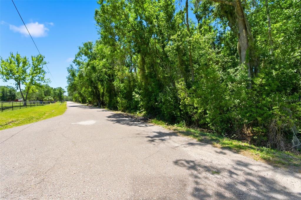 19084 Red Bird Lane, Unit LOT 5 Lithia, FL 33547 - Photo 6 of 21 a view of a road with a yard