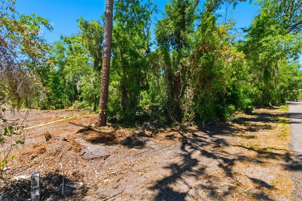 19084 Red Bird Lane, Unit LOT 5 Lithia, FL 33547 - Photo 7 of 21 a view of a yard with plants and trees