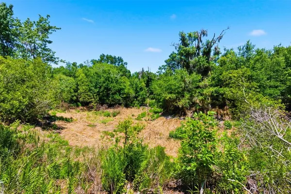 $499,000 | 19084 Red Bird Lane, Unit LOT 5, Lithia, FL 33547