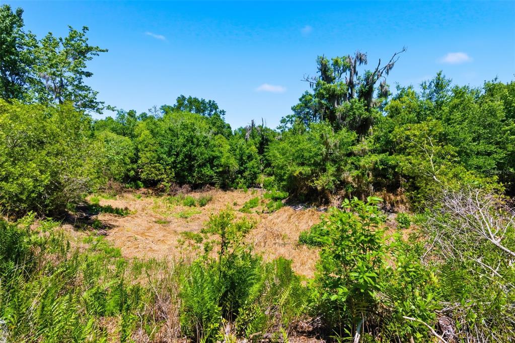 19084 Red Bird Lane, Unit LOT 5 Lithia, FL 33547 - Photo 8 of 21 a view of a garden with a house