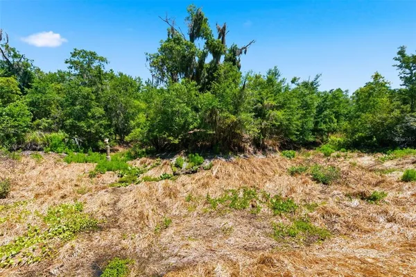 $499,000 | 19084 Red Bird Lane, Unit LOT 5, Lithia, FL 33547