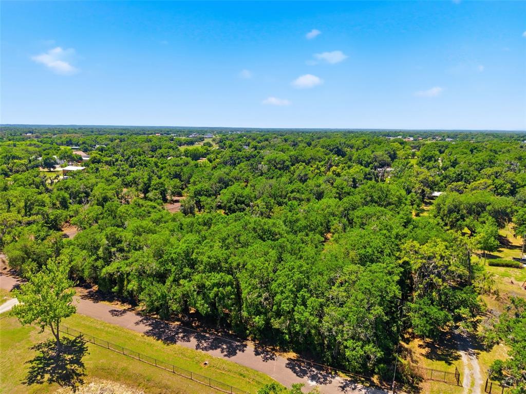 19084 Red Bird Lane, Unit LOT 5 Lithia, FL 33547 - Photo 10 of 21 a view of a yard with an outdoor space
