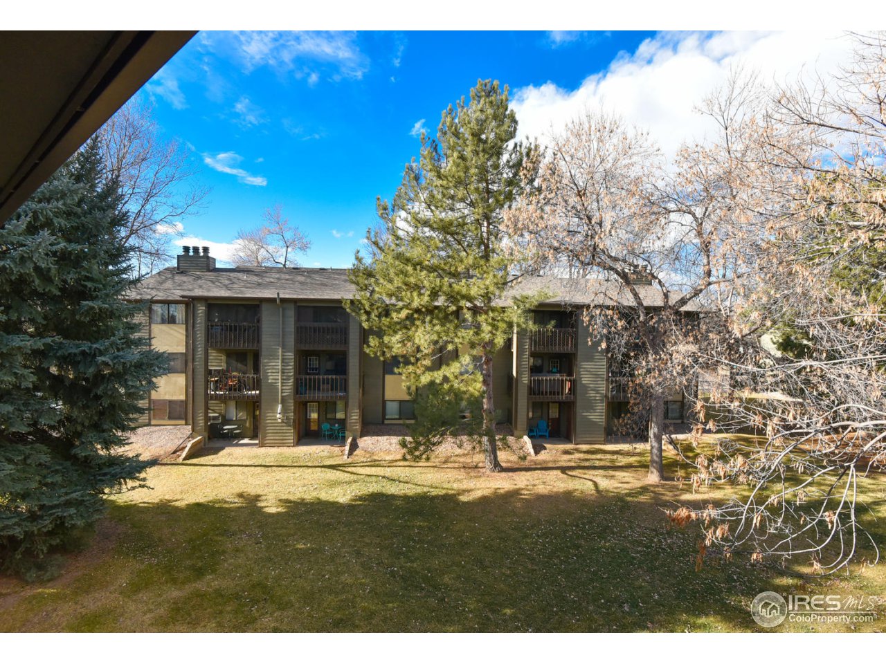 925 Columbia Road, Unit 632 Fort Collins, CO 80525 - Photo 20 of 20 Backy View