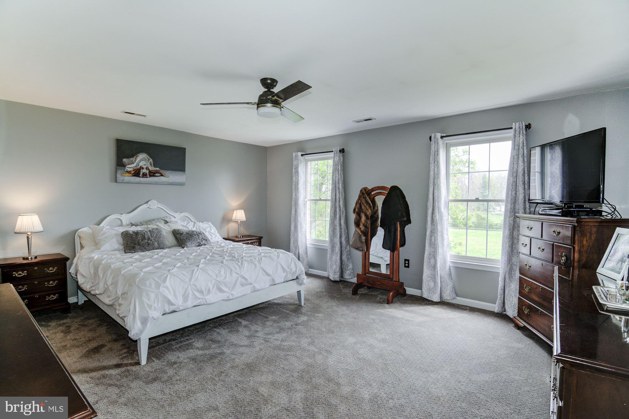 38048 Forest Mills Road Leesburg, VA 20175 - Photo 18 of 44 Spacious Master Suite with new carpet