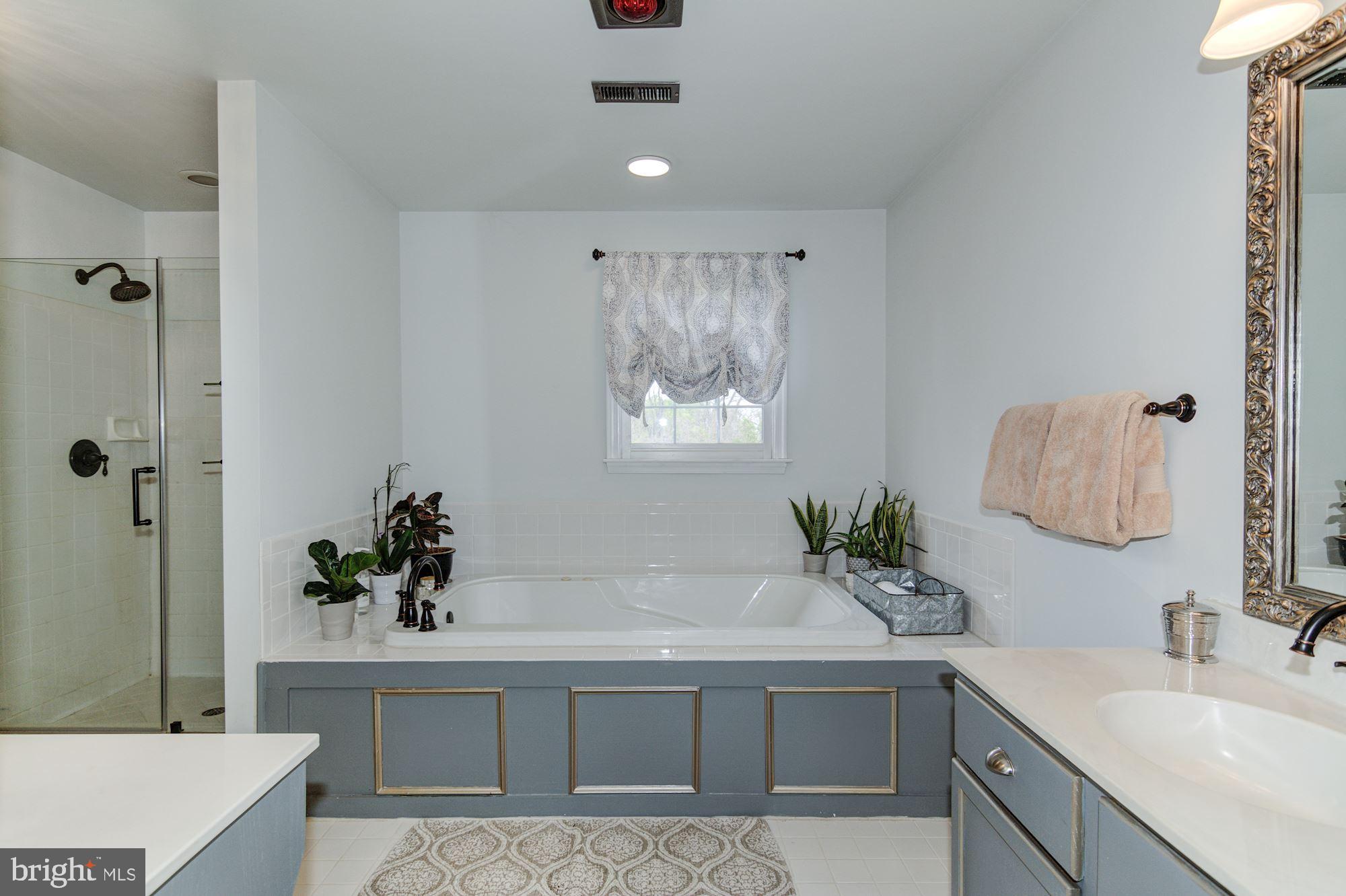 38048 Forest Mills Road Leesburg, VA 20175 - Photo 20 of 44 Master Bath with soaking tub and shower