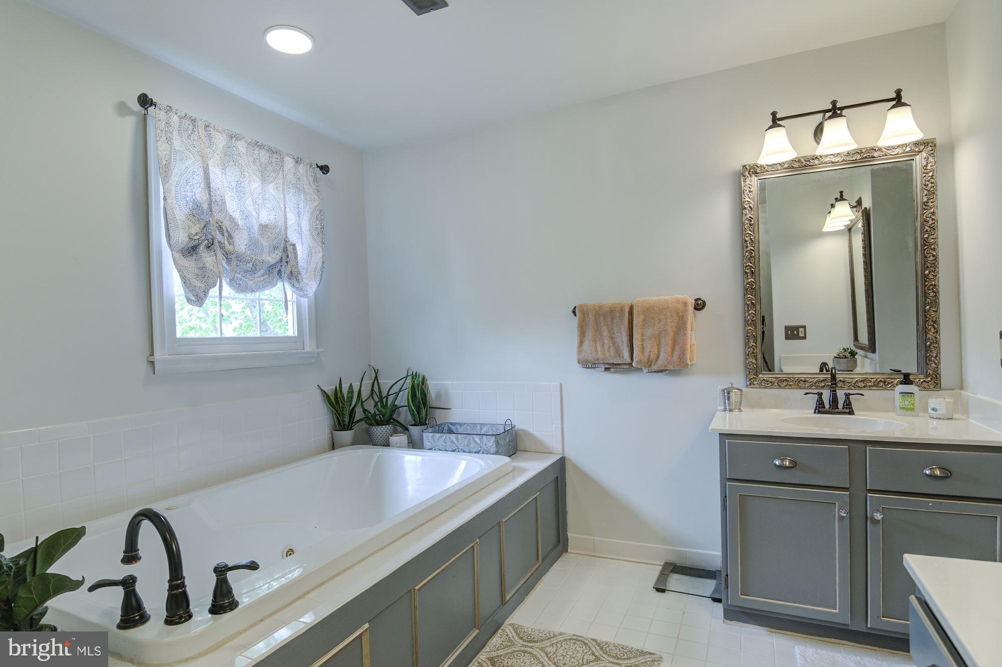 38048 Forest Mills Road Leesburg, VA 20175 - Photo 21 of 44 Separate sink