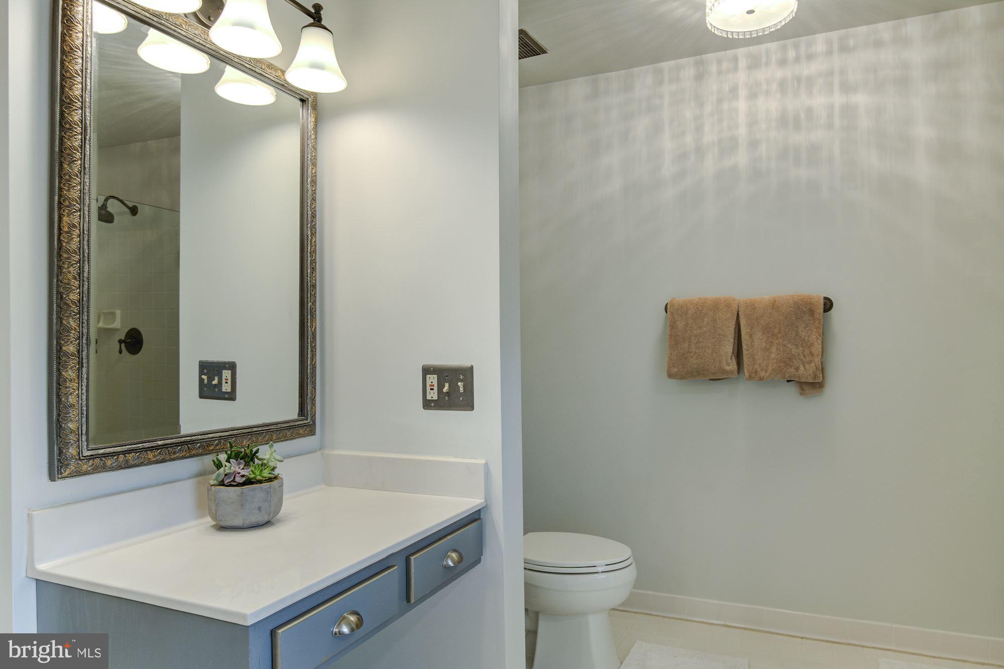 38048 Forest Mills Road Leesburg, VA 20175 - Photo 22 of 44 Built in Vanity