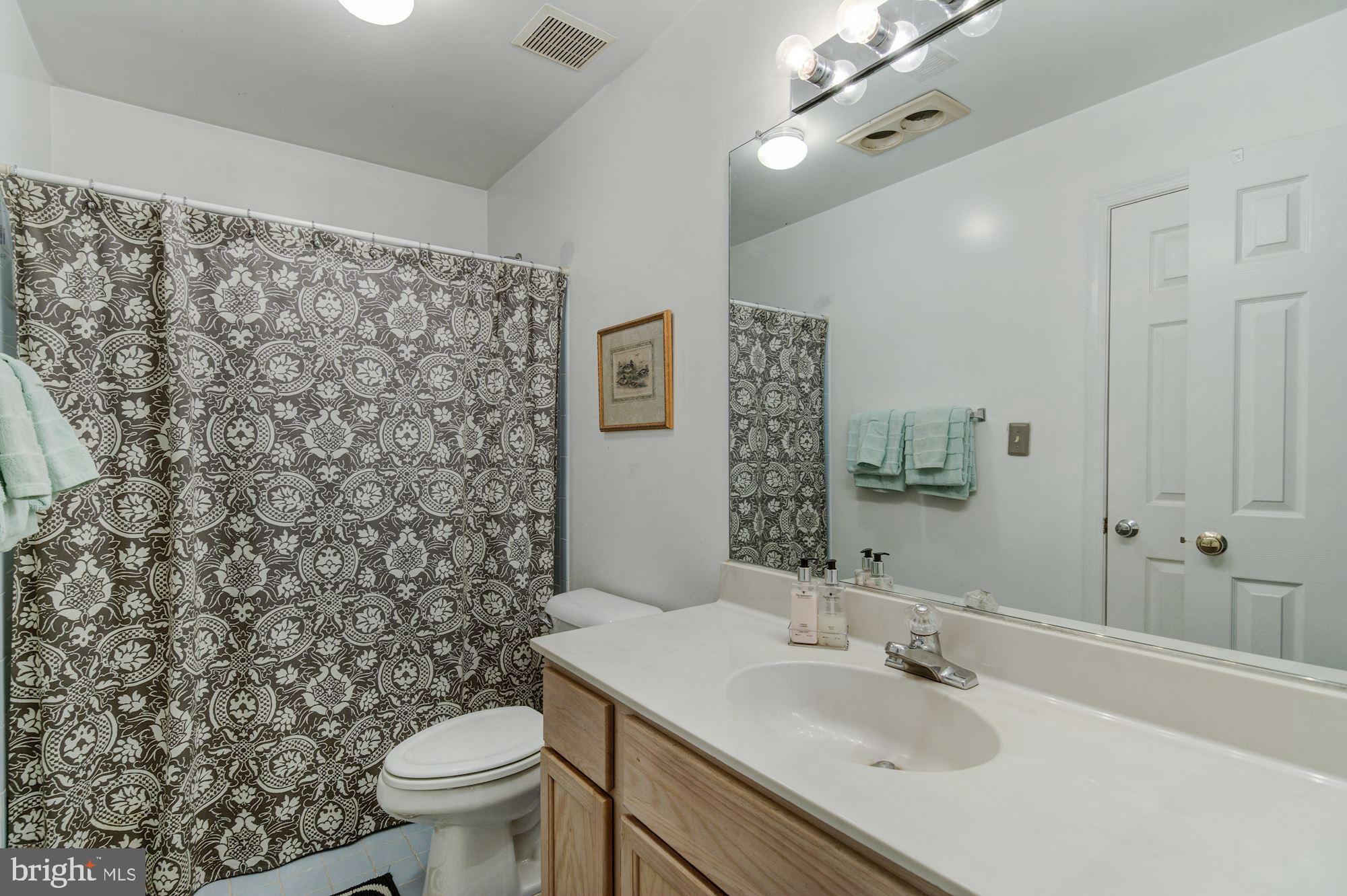 38048 Forest Mills Road Leesburg, VA 20175 - Photo 26 of 44 Full Bath upstairs