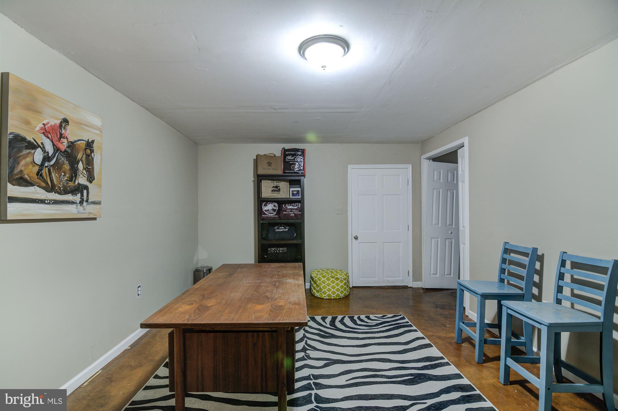 38048 Forest Mills Road Leesburg, VA 20175 - Photo 27 of 44 Lower level extra room.