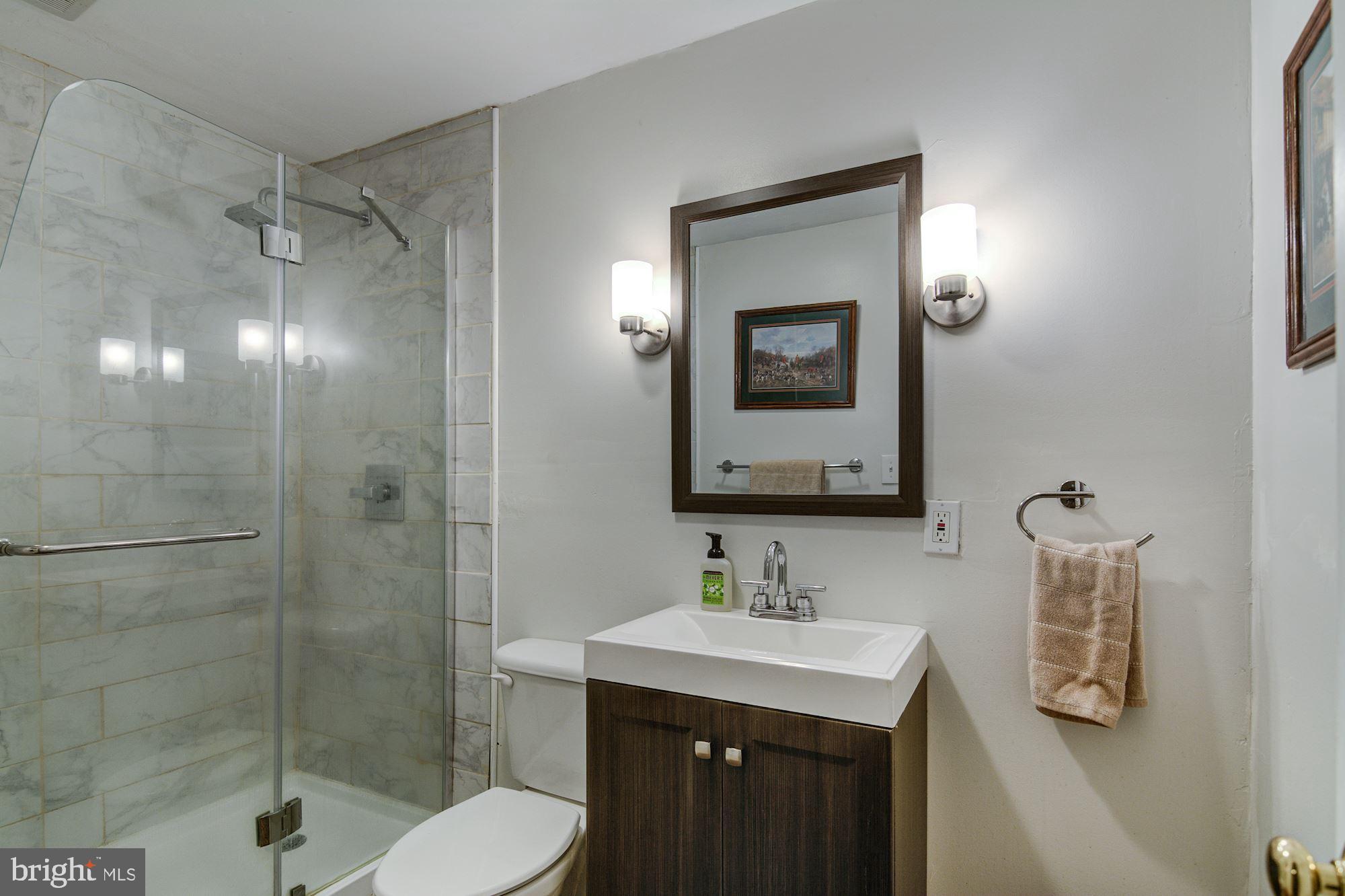 38048 Forest Mills Road Leesburg, VA 20175 - Photo 28 of 44 Lower level new bath.