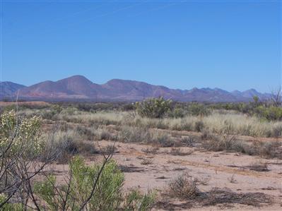 0 Off Webb Road Elfrida, AZ 85610 - Photo 1 of 1 Gallery Image 1