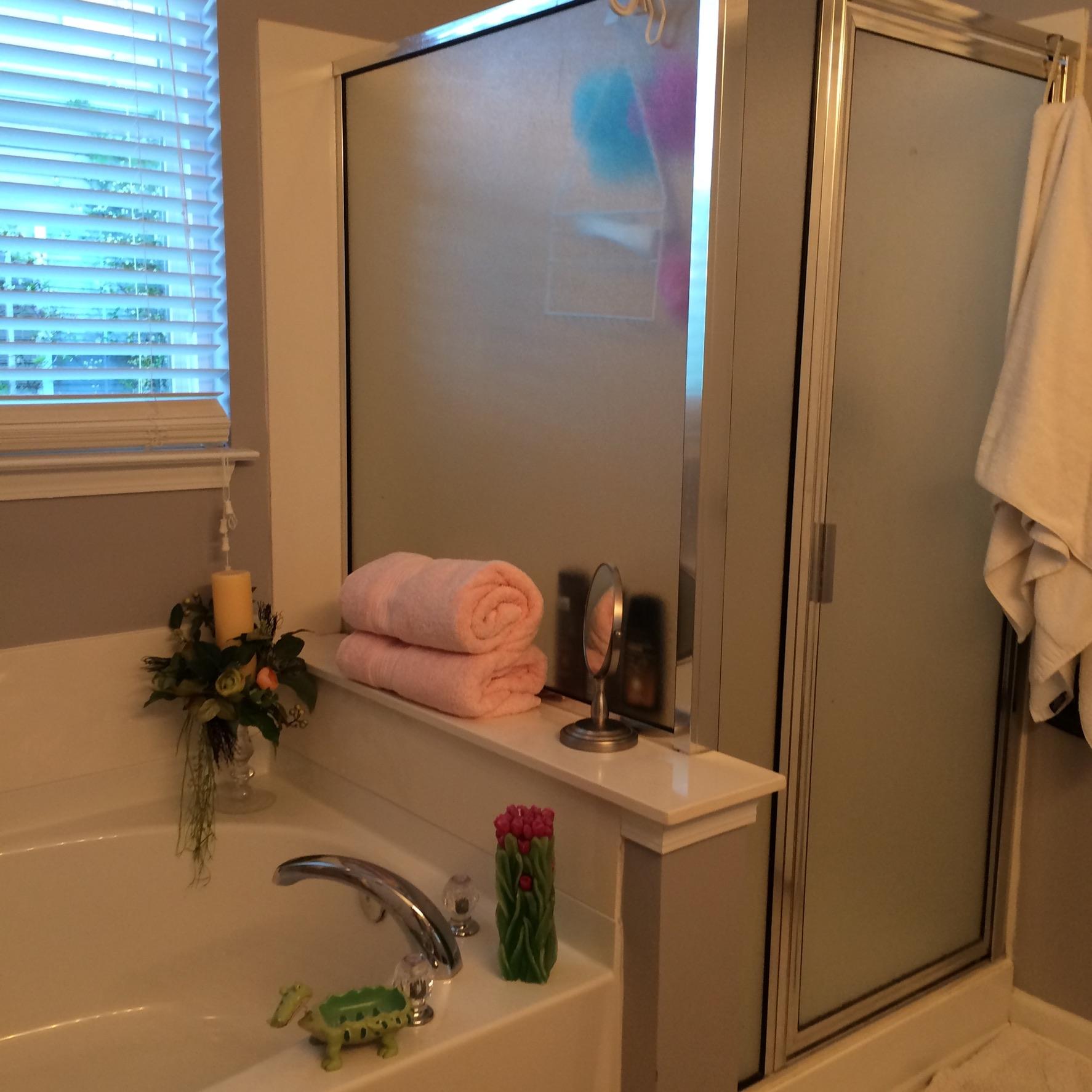 102 Old Jackson Road Goose Creek, SC 29445 - Photo 14 of 45 1st master bath